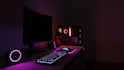 do your PC gaming animation full details