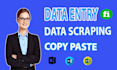 be your virtual assistant, data entry, and copy paste