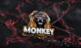 do create a gaming intro with your logo