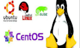 fix, install lunix sever,whm,cpanel, and write bash shell