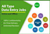 do data entry in google sheet, excel