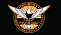 design a professional modern eagle logo
