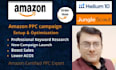 be your amazon PPC expert and optimize your PPC campaigns