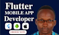 build a professional flutter mobile app for android and ios with clean UI