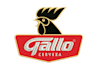 do embroidery digitizing, logo digitizing, digitize anything