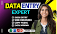 be your virtual assistant for data entry and lead generation