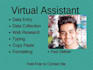 be your virtual assistant for data entry