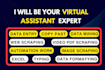 do data entry, copy paste, data mining, web scraping, image scraping