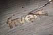 digitally carve in wood your logo design or text