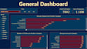 perform data entry and data analytics through excel