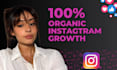 do fast instagram organic growth