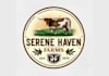 design awesome texas ranch logo