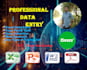 do data entry, data mining, internet research and copy paste