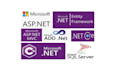fix your asp dot net issue