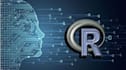 data scientist, gis, r programing, python programing