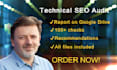 do a technical SEO audit of your wordpress website