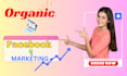 promote facebook page organically