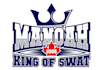 design a professional modern king logo