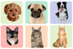 draw your pet into realistic vector style