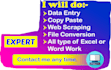 do any copy paste work excel, python, java