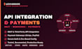 do api integration, payment gateway and webhook setup