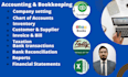 be your virtual accountant in uae