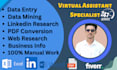 do manual data entry, web research and copy paste