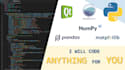 do data analysis, pyqt UI, python script