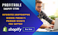 create professional ecommerce shopify website and ecommerce shopify store