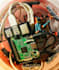 develop your arduino and raspberry pi projects