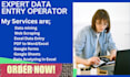 be your a fastest data entry operator