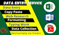 do data entry, mining, web research and scraping