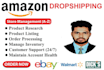 fully automate your amazon dropshipping fbm store as a VA