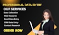 your professional data entry operator