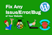 fix wordpress website errors, issues and bugs