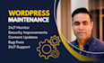 do wordpress website maintenance and wordpress support or update