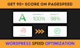 do wordpress speed optimization pagespeed, gtmetrix and fix core web vitals