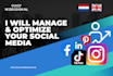 manage and optimize your dutch social media
