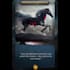 turn anything into a trading card