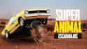 design eye catching aesthetic pro thumbnails for youtube