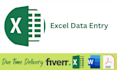 do accurate excel data entry for your business