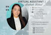 your go to virtual assistant fast flawless and fully dedicated