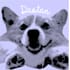 draw a pet and make it a halftone image