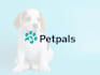 design timeless minimalist modern company logo
