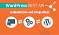 provide professional wordpress API integration services