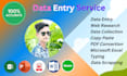 do professional data entry copy past web research expert