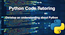 teach people the basics of python