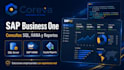 asesorar en sap business one, soporte, reportes e implementación
