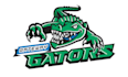 design high quality crocodile logo in high definition