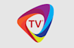 design high quality TV logo with free source file